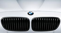 BMW Performance (BMWパフォーマンス) 5シリーズ F10 F11 ブラック・キドニー・グリル